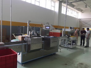 广州装盒机.威化饼干自动装盒机,真空包装机械