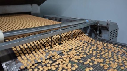 食品加工厂食品加工厂