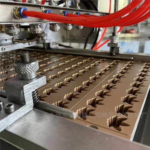 带喷油装置软糖机器 上海合强hq tg50型